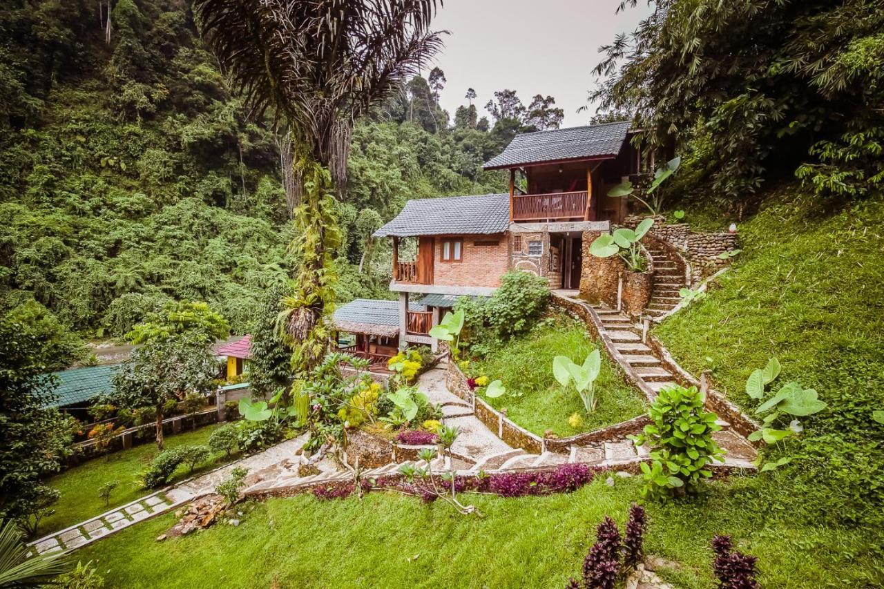 Garden Inn Bukit Lawang Exterior photo