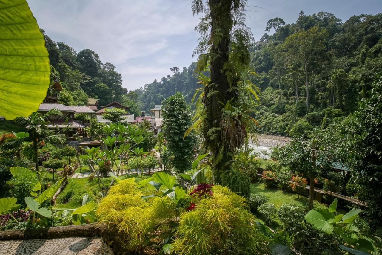 Garden Inn Bukit Lawang Exterior photo