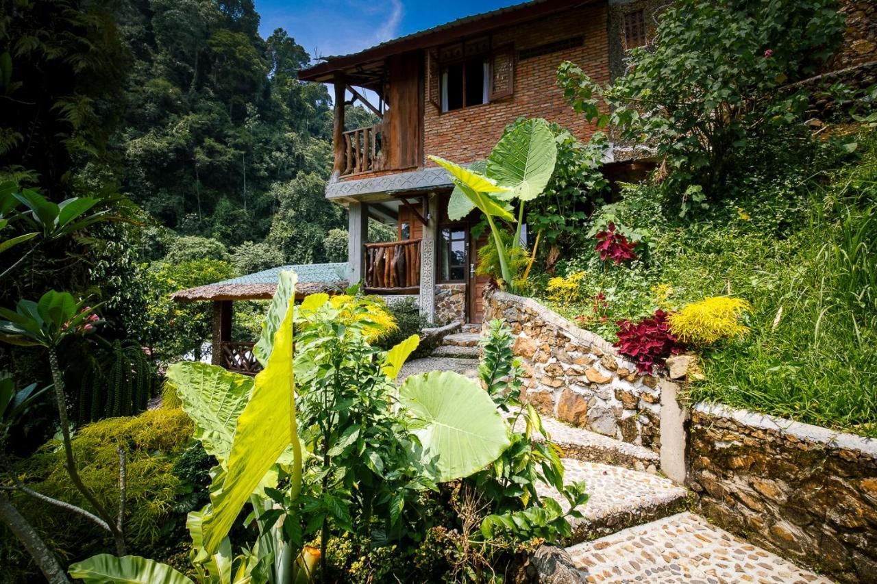 Garden Inn Bukit Lawang Exterior photo